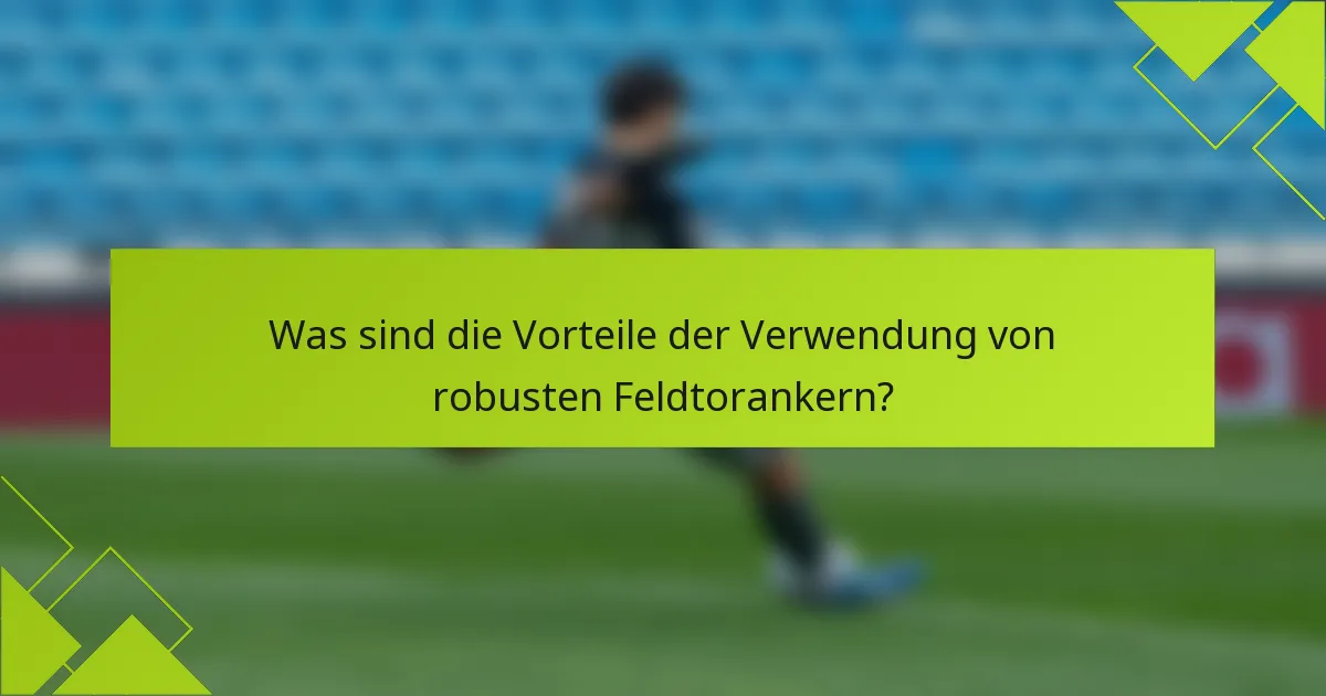 Was sind die Vorteile der Verwendung von robusten Feldtorankern?